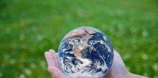 Going Green: 5 Ways to Help the Planet Going Green: 5 Ways to Help the Planet