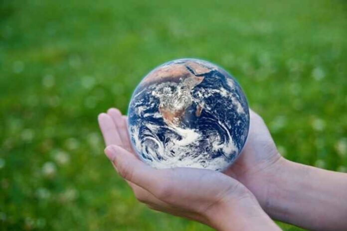 Going Green: 5 Ways to Help the Planet